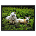 'Wool and Fern' Enhanced Photo Framed Canvas