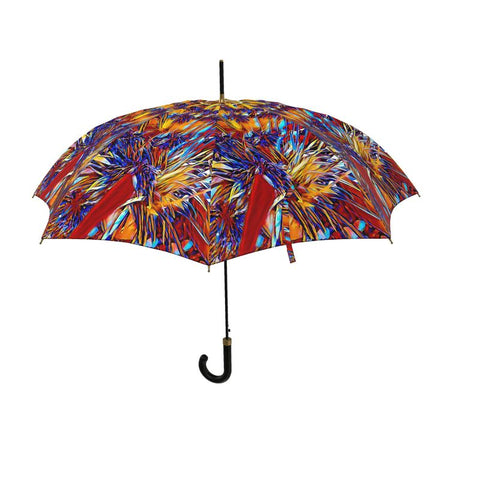 'Agapanthus Carmine' Umbrella