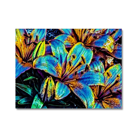 'Lily' Electric Canvas