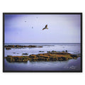 'Scouting' Enhanced Photo Framed Canvas
