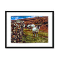 'Swaledales' Watercolour Framed Print